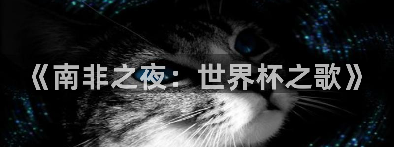 2026 世界杯：《南非之夜：世界杯之歌》