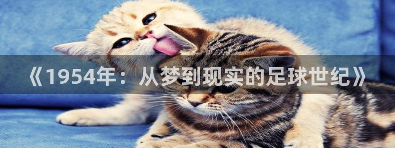 世界杯官网入口：《1954年：从梦到现实的足球世纪》