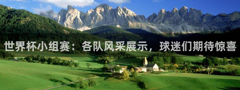 世界杯官网入口：世界杯小组赛：各队风采展示，球迷们期待惊喜