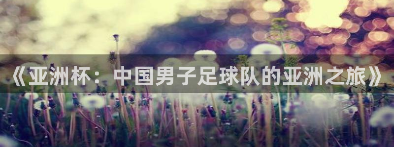 2026世界杯赛程时间表最新：《亚洲杯：中国男子足球队的亚洲之旅》