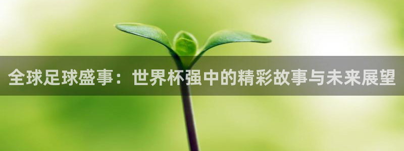 2026年世界杯直播平台：全球足球盛事：世界杯强中的精彩故事与未来展望