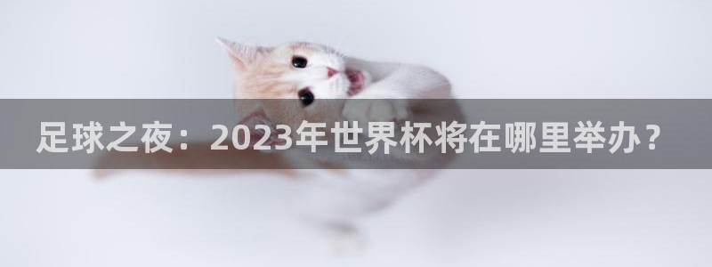足球杯：足球之夜：2023年世界杯将在哪里举办？