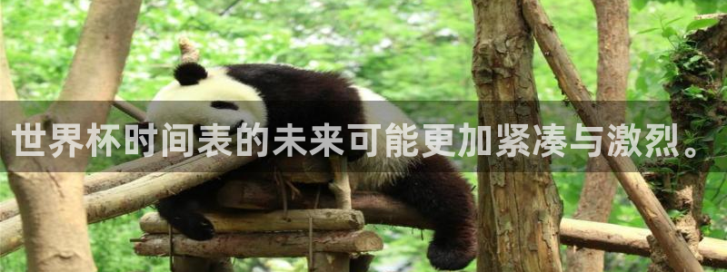 世界杯球队排名：世界杯时间表的未来可能更加紧凑与激烈。