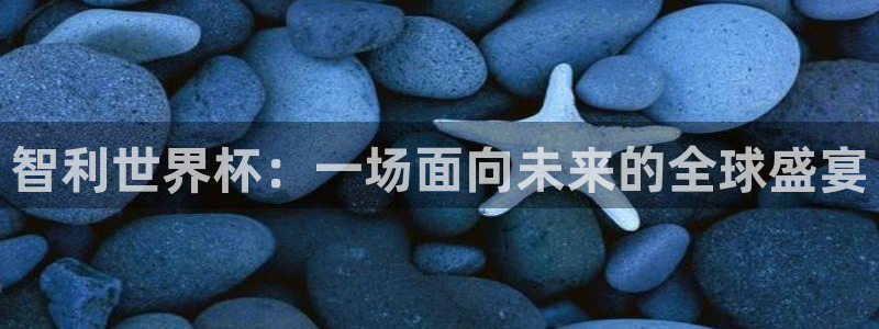 2026世界杯官网：智利世界杯：一场面向未来的全球盛宴