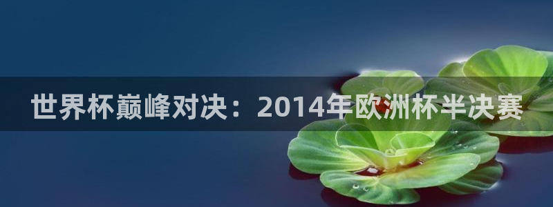 葡萄牙世界杯赛程：世界杯巅峰对决：2014年欧洲杯半决赛