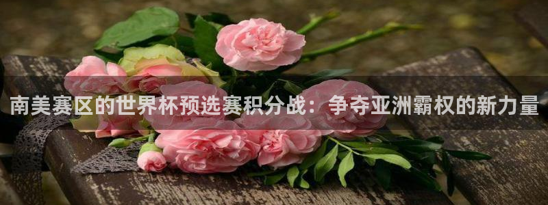 世界杯16强赛程表：南美赛区的世界杯预选赛积分战：争夺亚洲霸权的新力量