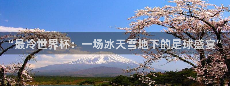 2026世界杯官网入口：“最冷世界杯：一场冰天雪地下的足球盛宴”