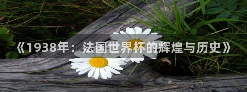 世界杯直播网：《1938年：法国世界杯的辉煌与历史》