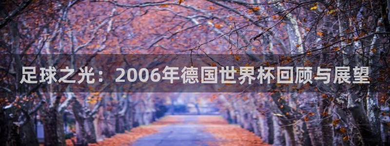 免费足球比赛直播高清：足球之光：2006年德国世界杯回顾与展望